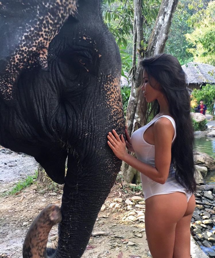 MikaaRose's tweet photo. perfect time away 🌍🐘 https://t.co/GWCfWKSFgH