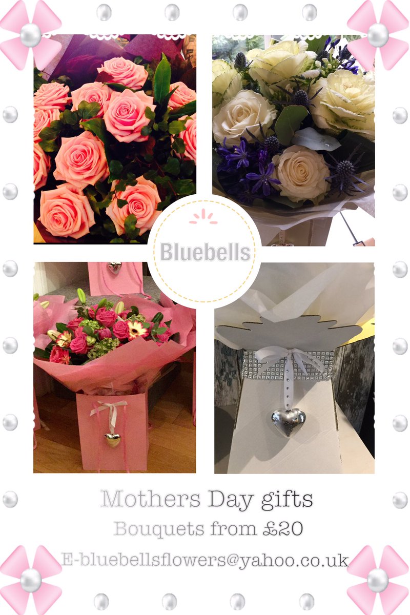 bluebell flowers (@bluebellsflower) on Twitter photo 