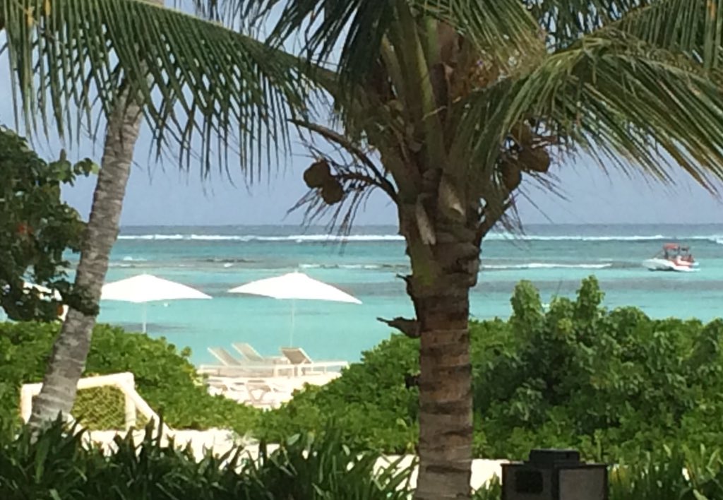 Smoke Magazine tweet media