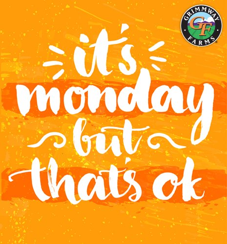 GrimmwayFarms's tweet photo. Got the Monday blues? Pack some crunch in your lunch and stay energized all day! #JustCrunchEm #MondayMotivation https://t.co/qJHZPxiWma