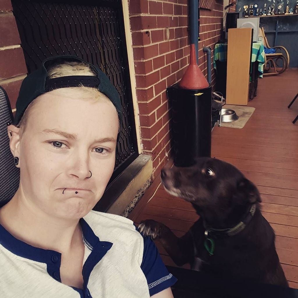 Cinemanimo1's tweet photo. https://t.co/uQjX6EiD2W Awww! Paw on my shoulder... she wants her morning walk.. #sheala #kelpie #socute #puppydog… https://t.co/YkO56LkwlS