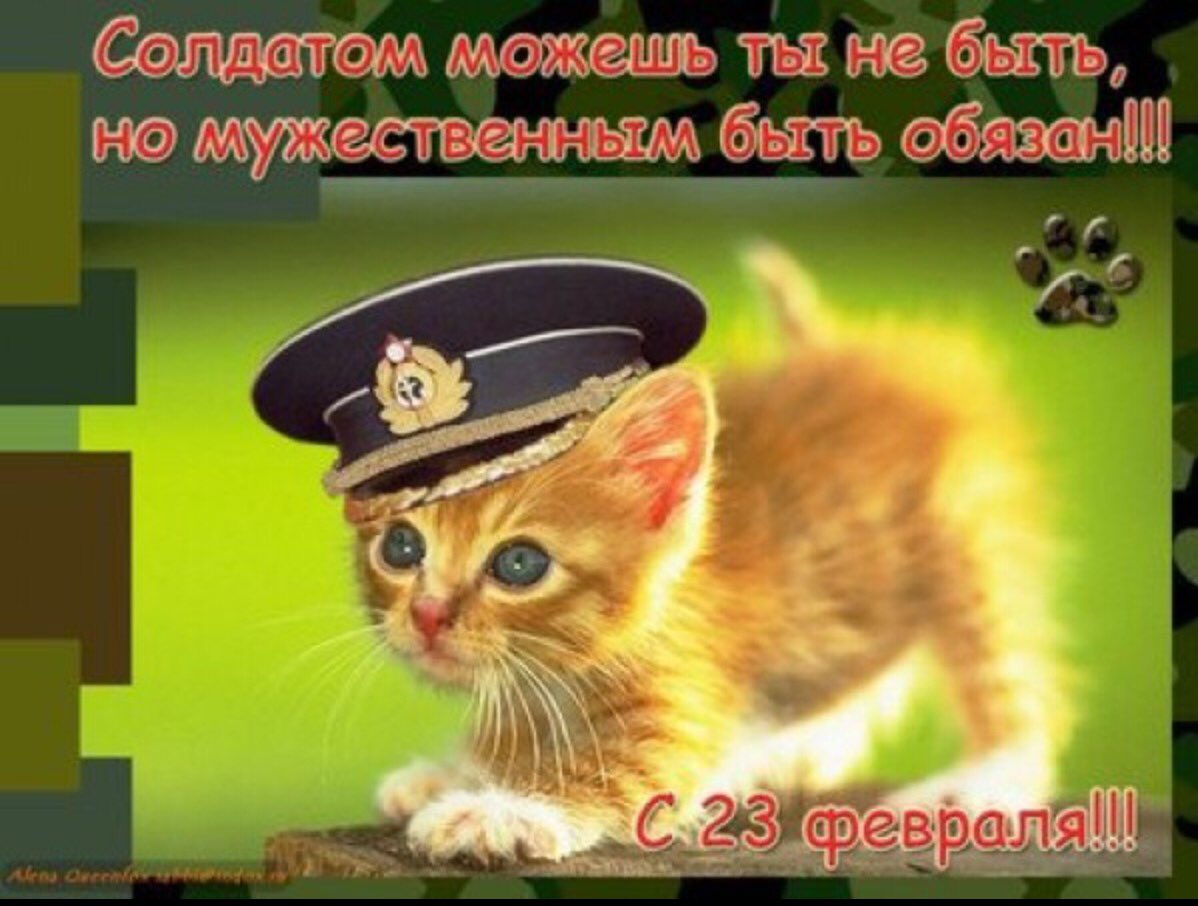 С двадцать третьим февраля
