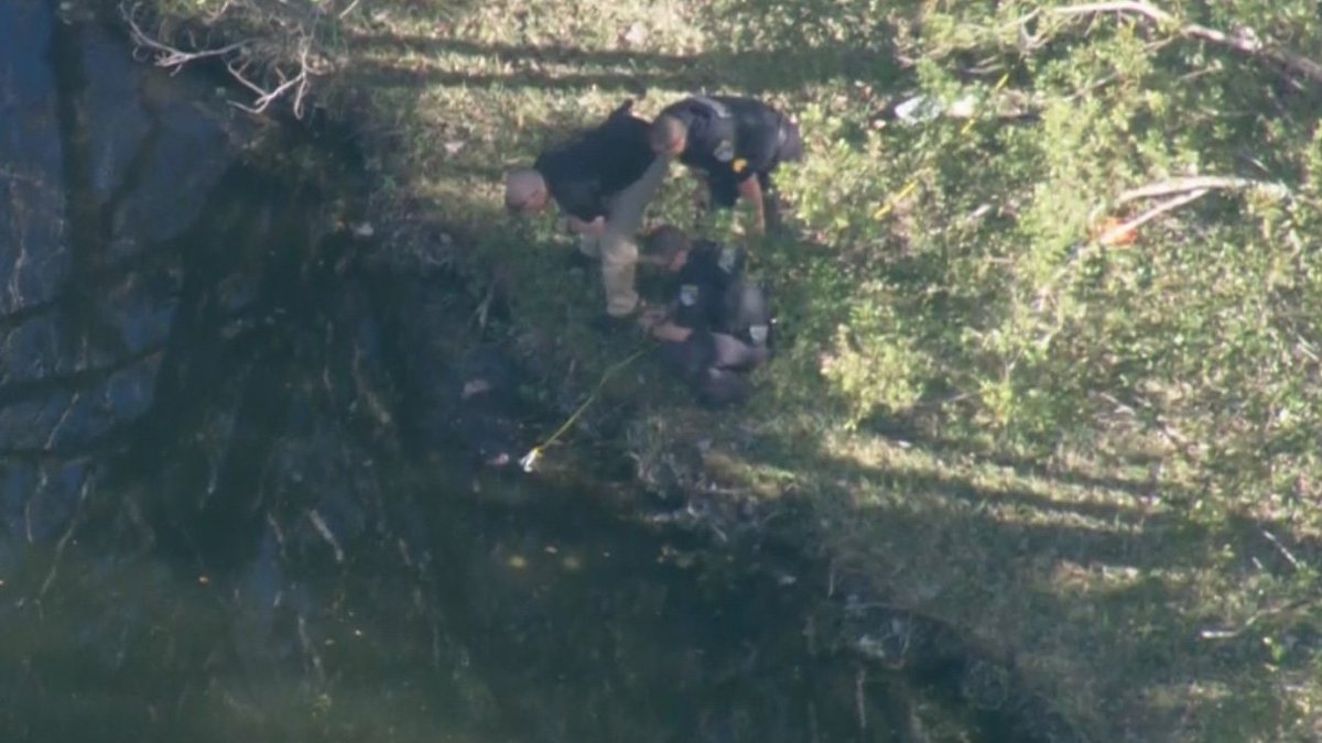 A body has been found floating in canal near 1200 block of N University Dr in Coral Springs bit.ly/1QW9BiD https://t.co/Qico0zfRtL