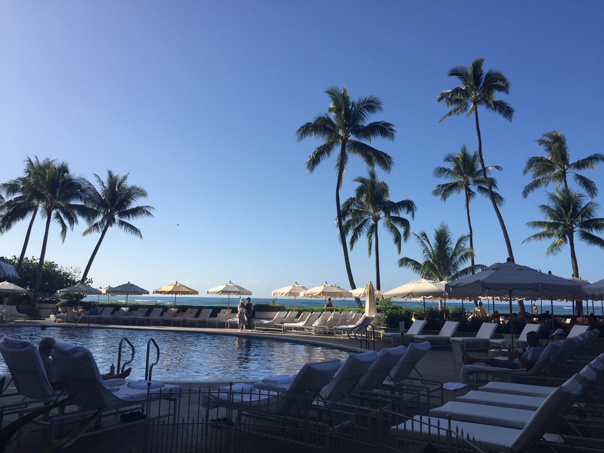 LaurenBushnell3's tweet image. Mornings are much more tolerable here.