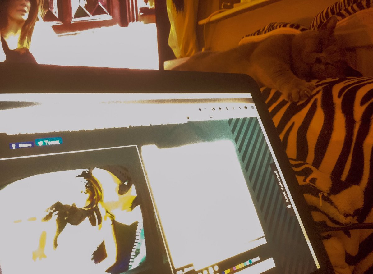 G_Bace's tweet image. Chilling with Beau the #3DCat to the laid back vibes of @IdealRadioSacha @IdealClubworld bit.ly/Idwatch