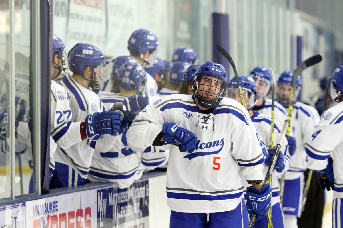 Concordia Wisconsin Falcons tweet media