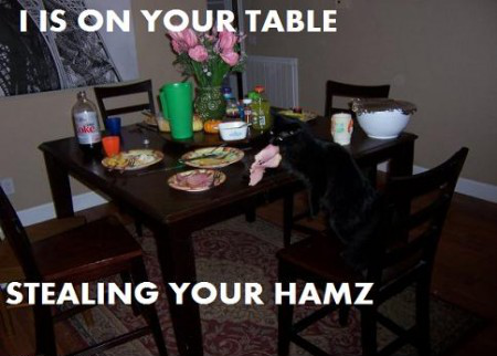 LOL_Cats (@lolcats_fun) on Twitter photo 