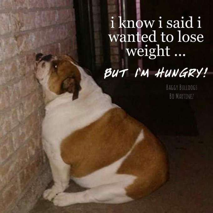 Me right now lol https://t.co/3KJyo6xZj9<a href="/tag/connecticut"class="tags"><span>#connecticut</span></a>