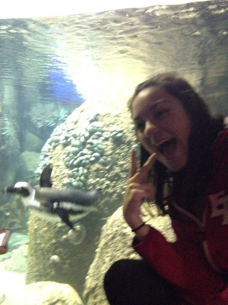 atkinson_vivian's tweet photo. I learned that African Penguins are in danger of being extinct #EPTPush https://t.co/CAHpVKZLqp