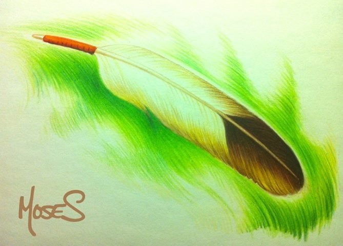 I'm a First Nations artist. Wanna see more?