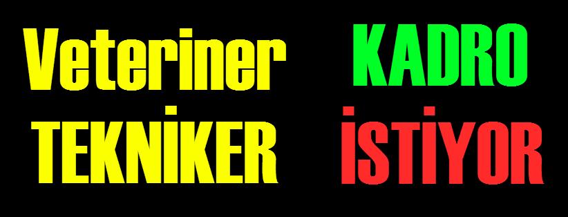 AuDilek's tweet photo. #FarukCelikinAskerleriyiz #LaborantVeVeterinerSağlıkTeknikeri500Kadro @MaliyeBakanligi @BasbakanlikDPB https://t.co/8JpIVnAQcx