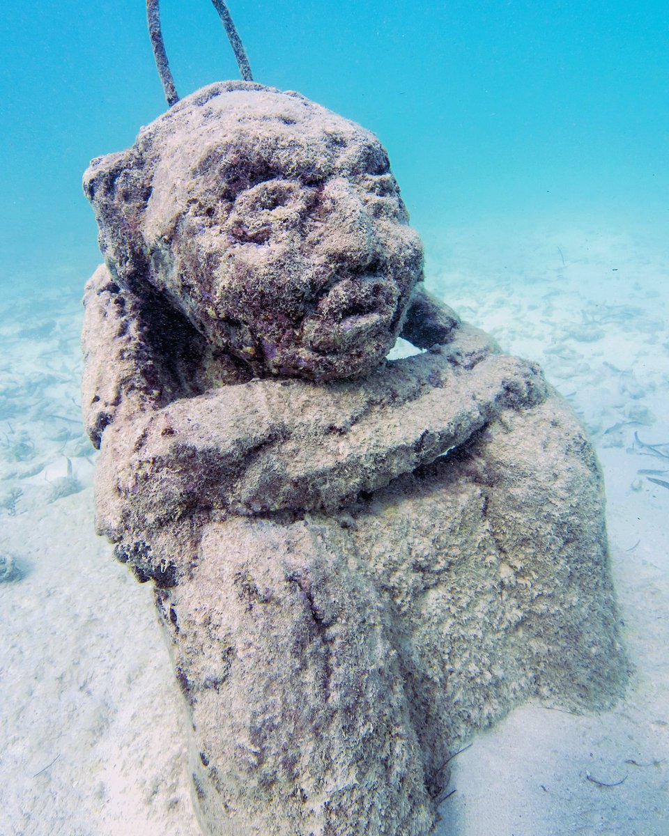 PUNTACANARESORT's tweet photo. Dive experience @Puntacanaresort will take you to appreciate 22 underwater sculptures at #Igneri Underwater Museum. https://t.co/qhXcOF9Spz