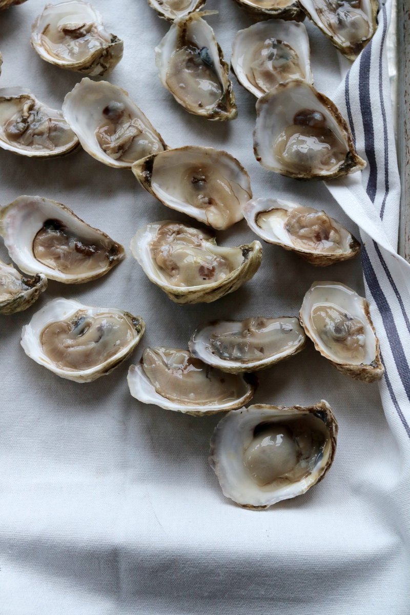 No oyster was left unturned 4 <a href="/greyladynyc/">GreyLadyNYC</a> #kickoff #oysterrow eating and shucking competition! #mollusks #LESisMore