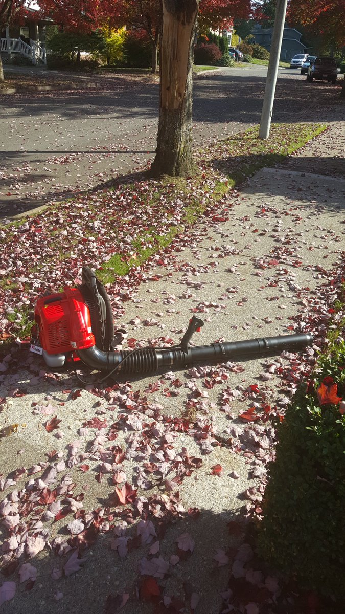 CampMowService's tweet image. Brand new since September, RedMax EBZ6500RH.
Photo credits: @erikbainter3 in 4k on his Samsung S6 Edge.
#RedMaxpower