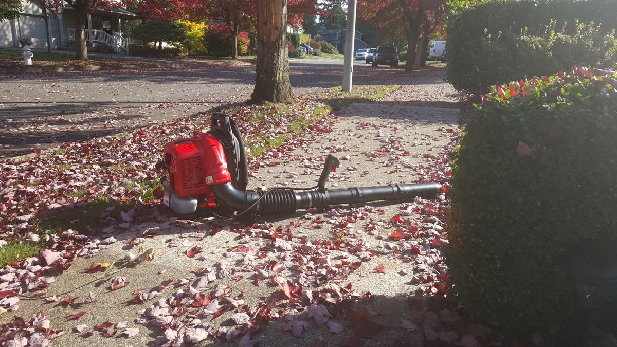 CampMowService's tweet image. Brand new since September, RedMax EBZ6500RH.
Photo credits: @erikbainter3 in 4k on his Samsung S6 Edge.
#RedMaxpower