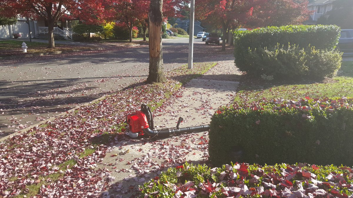 CampMowService's tweet image. Brand new since September, RedMax EBZ6500RH.
Photo credits: @erikbainter3 in 4k on his Samsung S6 Edge.
#RedMaxpower