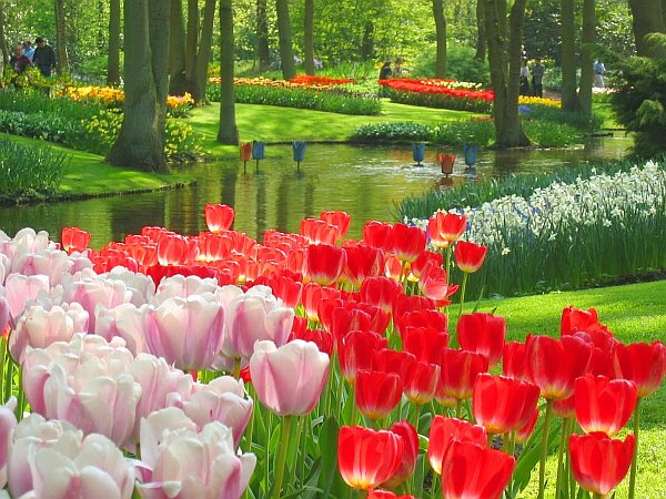 ChateauDeRoyal's tweet photo. Join us this spring for the exciting unveiling of new tulip gardens, built in honor of Le Roi, and his love for > https://t.co/oEoSik13Jd