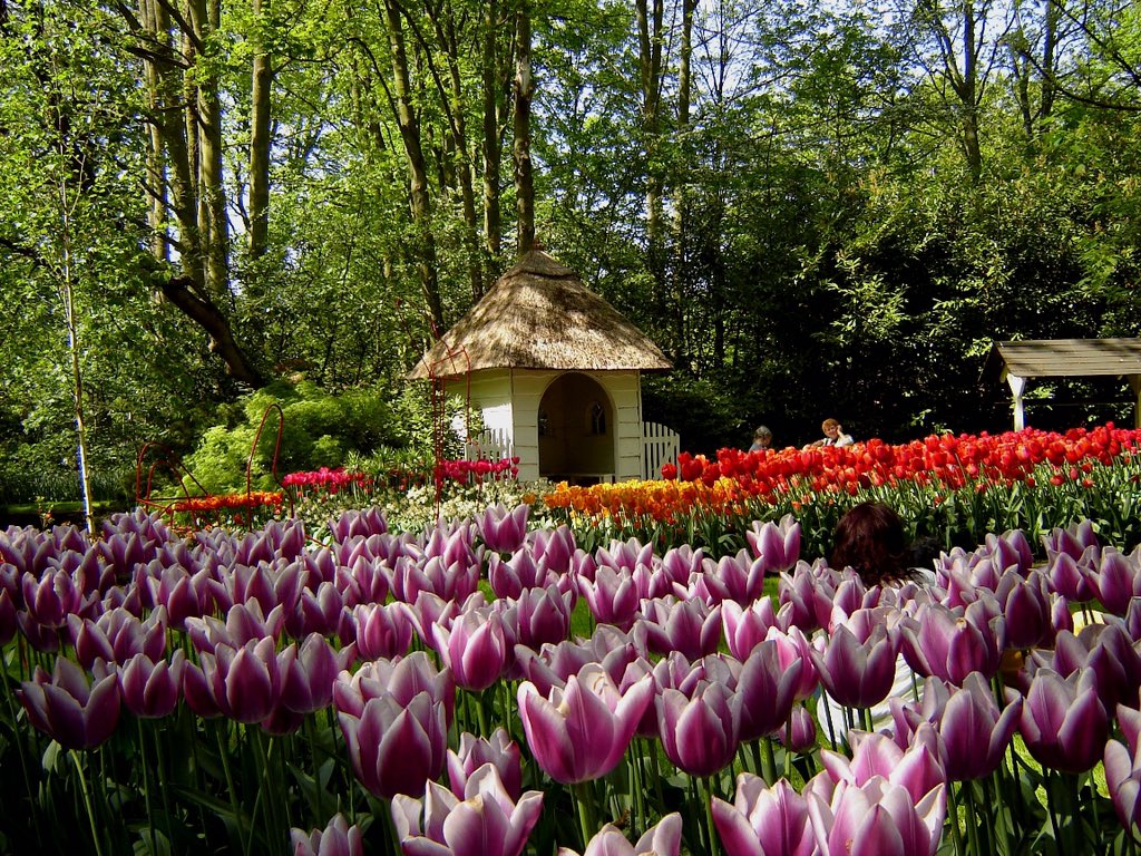 ChateauDeRoyal's tweet photo. Join us this spring for the exciting unveiling of new tulip gardens, built in honor of Le Roi, and his love for > https://t.co/oEoSik13Jd