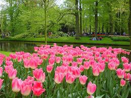 ChateauDeRoyal's tweet photo. Join us this spring for the exciting unveiling of new tulip gardens, built in honor of Le Roi, and his love for > https://t.co/oEoSik13Jd