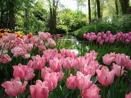ChateauDeRoyal's tweet photo. Join us this spring for the exciting unveiling of new tulip gardens, built in honor of Le Roi, and his love for > https://t.co/oEoSik13Jd