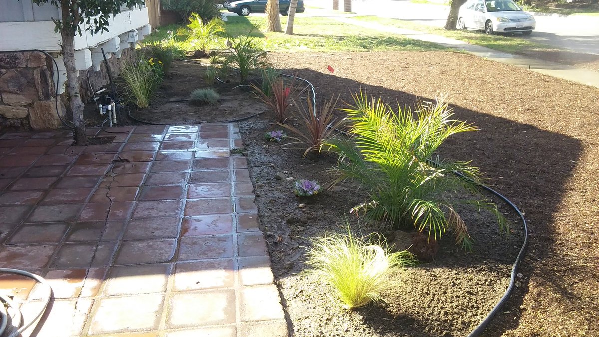 NewProject_Land tweet picture