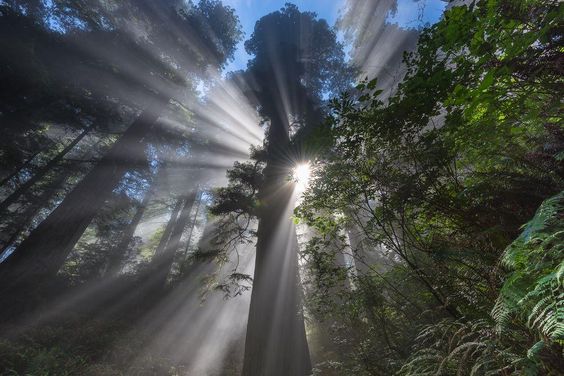 randomgrounds's tweet image. buff.ly/1Wkrtb2