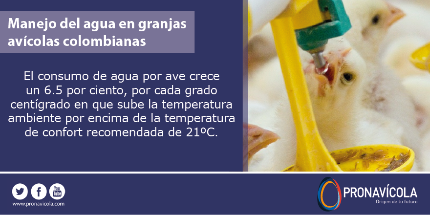 El avicultor debe garantizar que el agua no tenga ni sabor ni olor goo.gl/CbRgtw #GranjasAvicolas