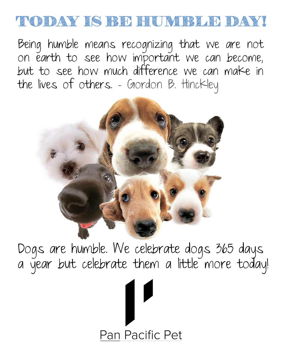 It's Be Humble Day. #behumbleday #weirdholidays #celebrate #dogs #behumble #welovedogs