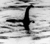 SailorCricketts's tweet photo. @showyoulearn C.R wanted to show you the Loch Ness Monster. He's spent all afternoon talking about it. https://t.co/PtGVAhpuOf