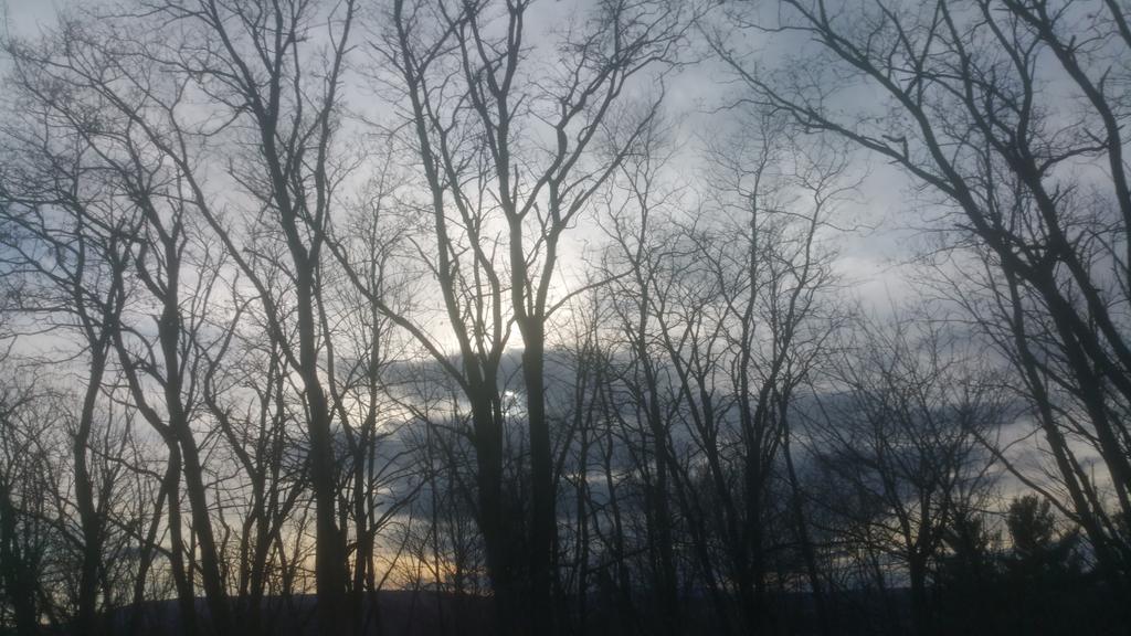 FemOutLoud's tweet photo. I haven't posted a #RandomWindowSnap lately,but maybe this unedited one for @cyleeruse...@MichStud @s4s2013 @GRY1111 https://t.co/KjDXhcLy5n