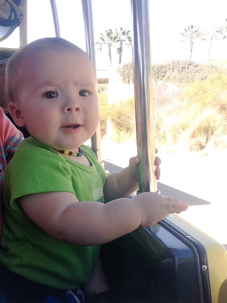 jademonet's tweet image. Zoo Safari Park!