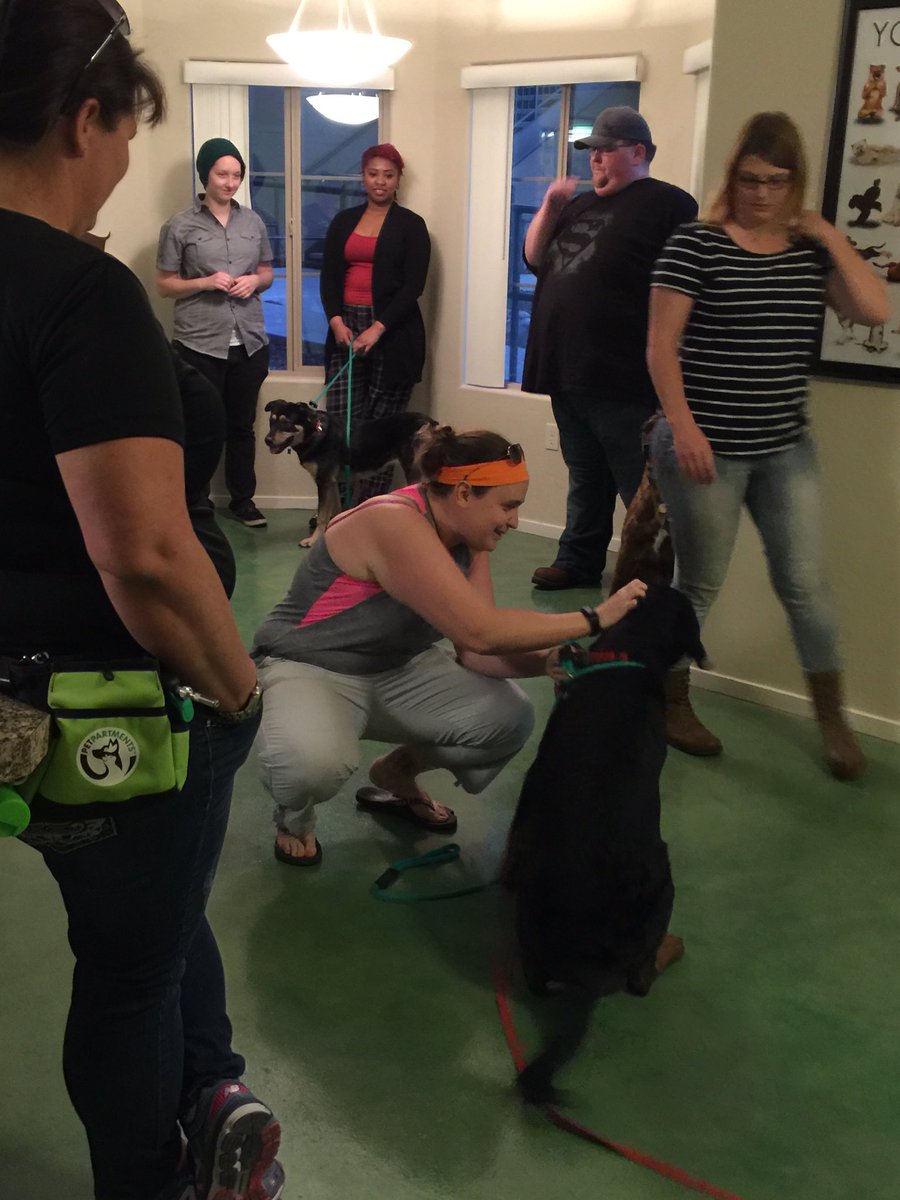 MCLifeRocks's tweet image. Canine Good Citizen Testing tonight by @PETPARTMENTS at our Creekside Apartments! #Tucson #MCLifeLovesDogs #MyMCLife