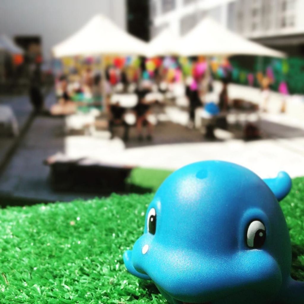 monkeywayland's tweet photo. "Oh shit you're beached as bro!"
"Naa bro. I'm grassed as." @unswartdesignsc #seawhatidid … https://t.co/CRPuGcT3Rc https://t.co/lMrtFKLnzu