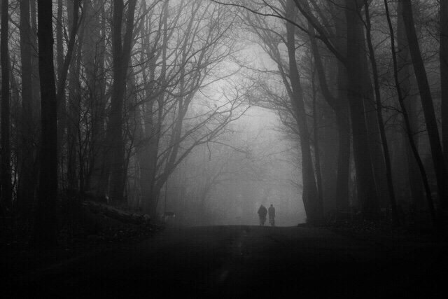 JMPhotography tweet media