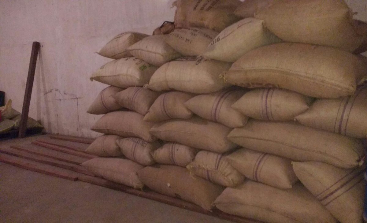OnceOnce_Cafe's tweet photo. La bodega de Café empieza a llenarse. #FincaStaRosa nos espera con un microlote exclusivo. https://t.co/MjyQxEdNED