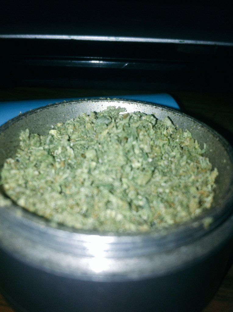 PandaCrew420's tweet photo. Hey guys (|^~^|) #bluedream  #smokeweedeveryday https://t.co/JtO4EsChLt