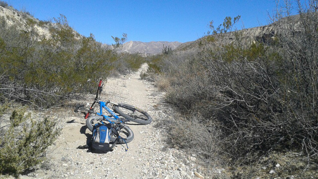 BicycleWork's tweet photo. The “Epic” https://t.co/E09KmVgCy0 https://t.co/tFDnWGUdcR