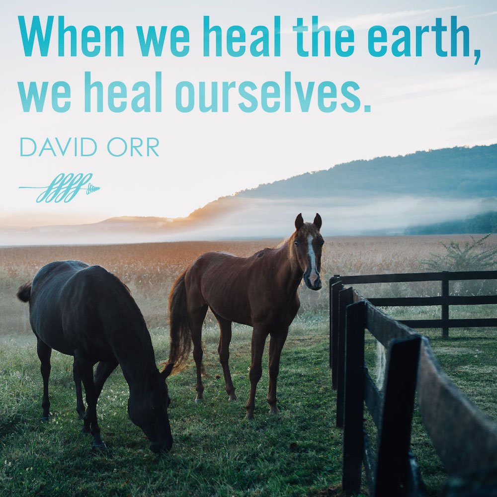 FastForwardRoc's tweet image. We&apos;re all in this together #fastforwardroc #community #nottryingtoquotehighschoolmusical Tickets on sale soon! #ROC