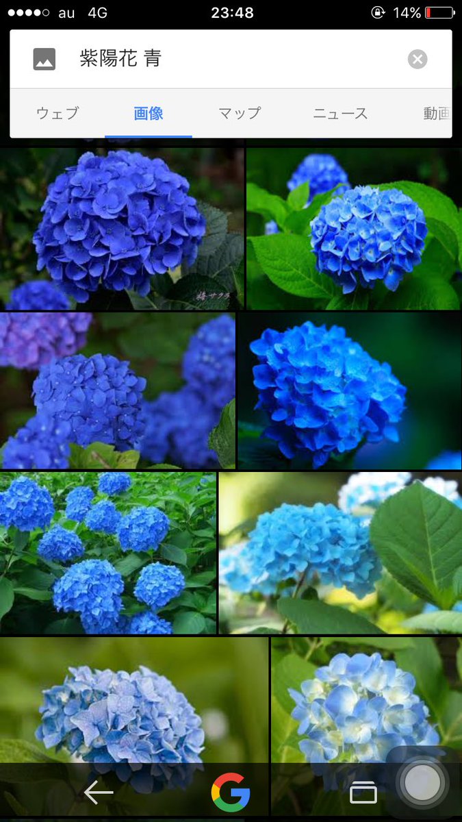 はやかわ お取引アカ على تويتر カラ松 紫陽花 花言葉は 辛抱強い愛情 冷淡 よくカラ松 は優しいと言われてるけど 実際は自分に酔ってるだけという話を聞いて 矛盾した言葉を抱えるこの花が似合ってるなと T Co V1jkmqyjdx はやかわ お取引アカ على تويتر カラ松 紫陽花 花言葉は 辛抱強い愛情 冷淡 よくカラ松 は優しいと言われてるけど 実際は自分に酔ってるだけという話を聞いて 矛盾した言葉を抱えるこの花が似合ってるなと T Co V1jkmqyjdx