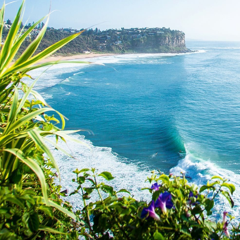 Surf Shots tweet media