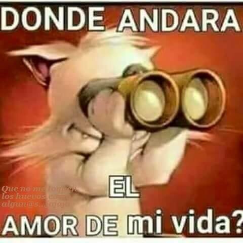 TNugra's tweet photo. https://t.co/WVX9SRnOm7