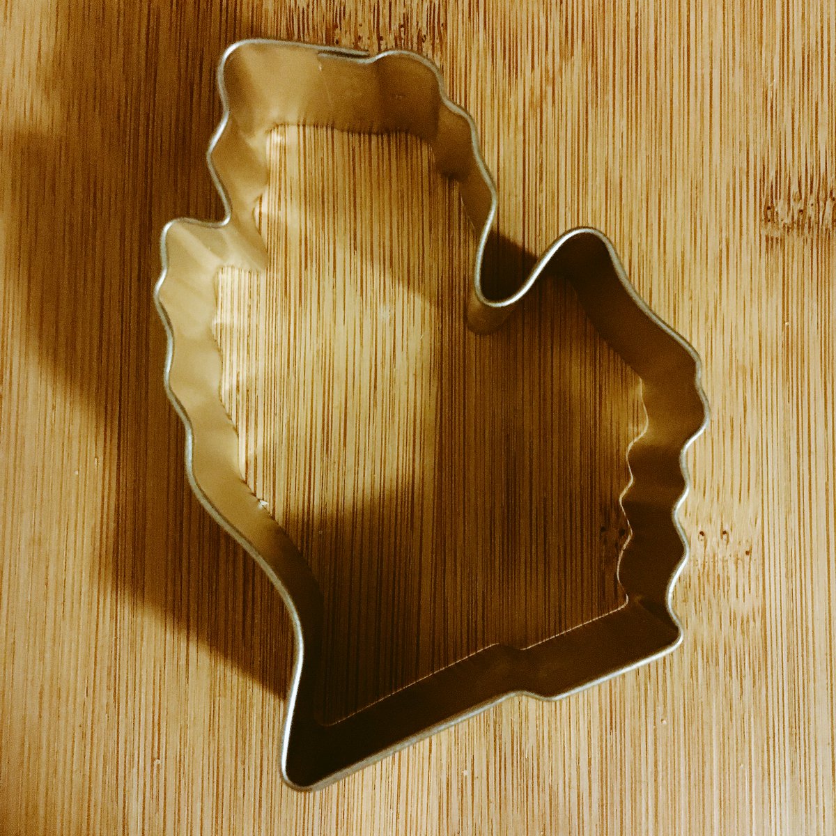 doylelizabeth's tweet photo. Day 5 of @LeaderShape #RoutineRefresh. My three word letter for daily priorities: miles, memories, Michigan. https://t.co/EhWW7VJBIg