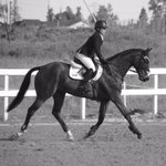 Photo by HBEventing (@HBEventing)