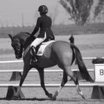 Photo by HBEventing (@HBEventing)