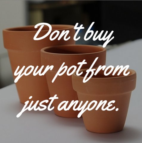 Buy it from a place you trust!