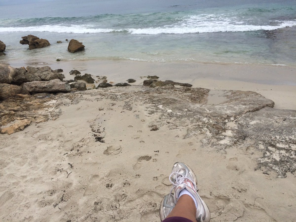 ChannyBH's tweet image. I heart this spot #littlenook #thinkingspot #solitude #perthect