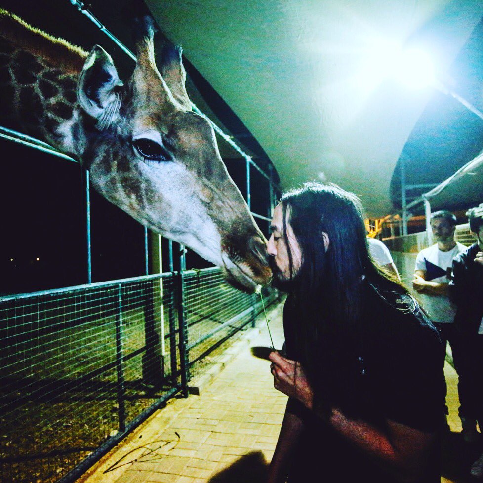 Giraffe kisses https://t.co/d7t1BeA08c