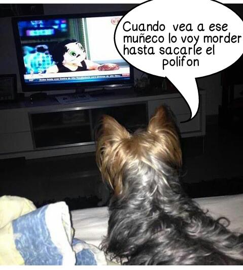 Via <a href="/OrmanInnis/">Orman Innis</a>: Gucci arremete contra varios personajes de los medios por destitución de su ama "