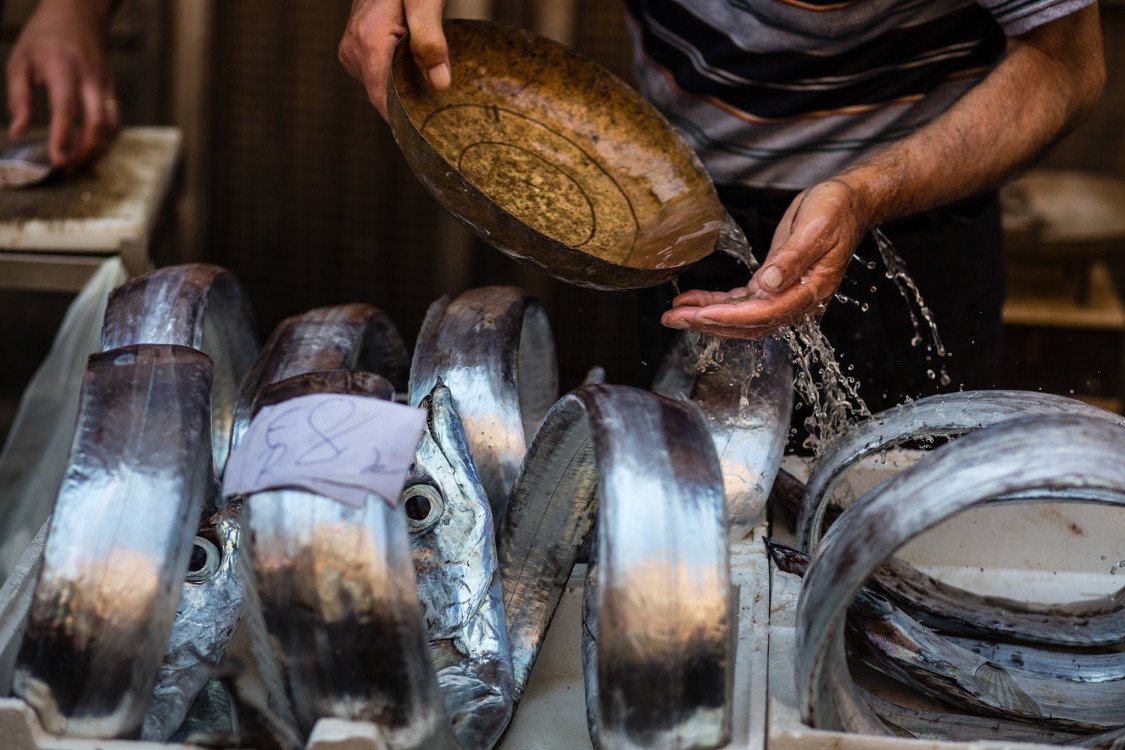 CoralReefFish's tweet photo. Seeking sustainable seafood? Find a good Fishmonger! https://t.co/NQinsttWXP https://t.co/l1uJgWI9Du