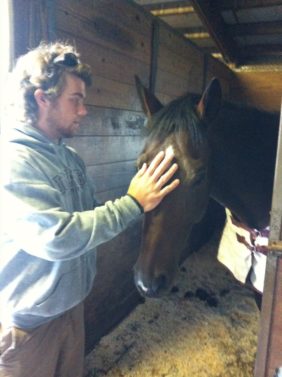 Synergyequus's tweet photo. Let me talk to you through touch🖐 Can you tell this is a "non horse person"? Horses know who has a sincere ❤️#trust https://t.co/Itdf3mGOcr